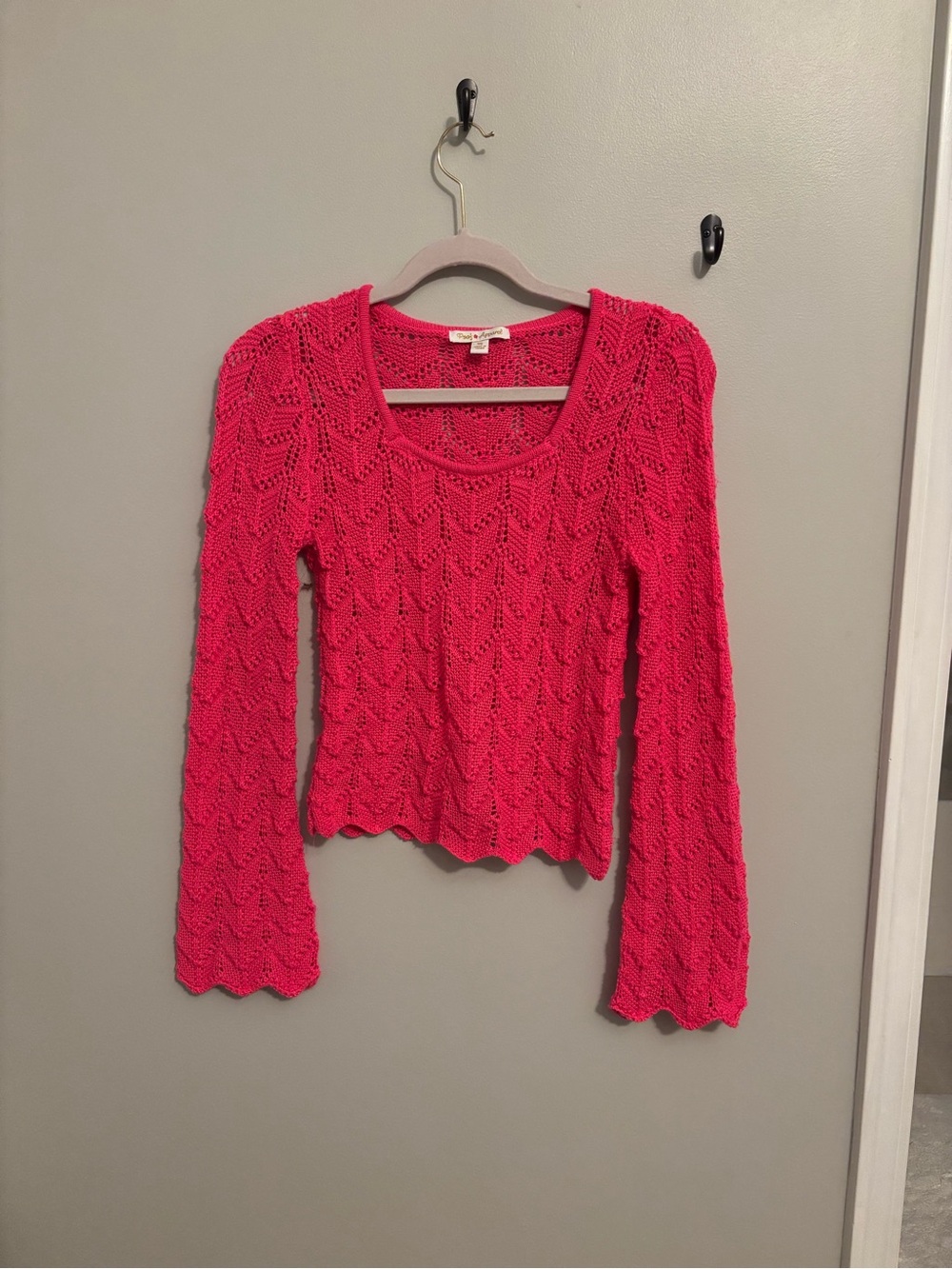 Bright Pink Crochet Scoop Neck Long-Sleeve Top